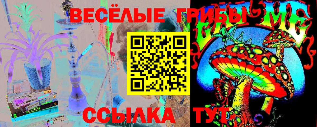 Псилоцибиновые грибы мухоморы Ликино-Дулёво